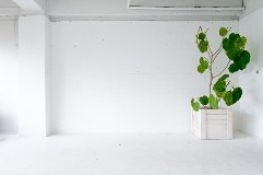 あなたと同じ血液型の芸能人はこんな方々