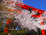 冠稲荷神社(かんむりいなりじんじゃ)
