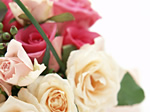 結婚に求める事〜結婚と向き合う〜