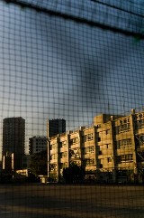 語学・教育関連の職業向けの婚活について